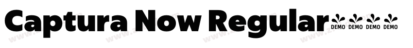 Captura Now Regular字体转换